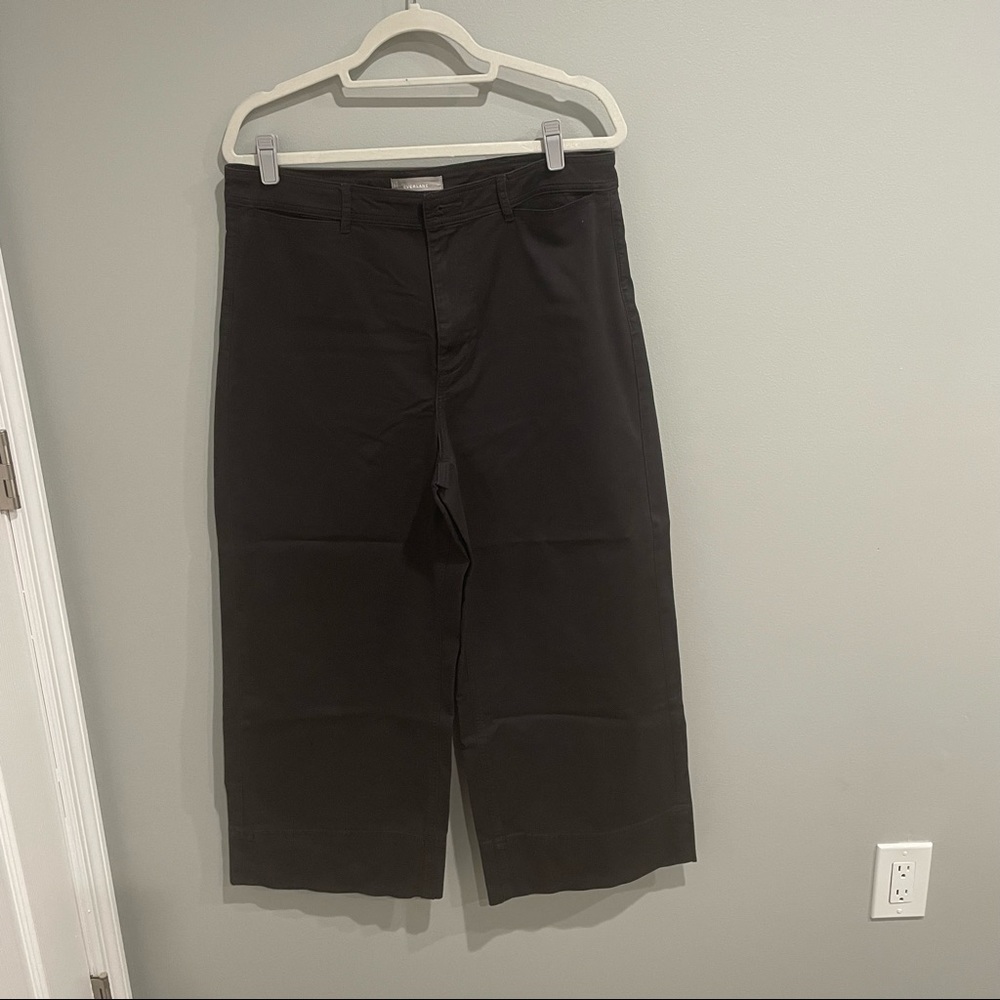Everlane Cropped Wide Leg Chinos
